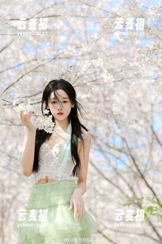 丽柜 - 韩雪纯白写真合集：珍贵全集与精美原图奉上.txt
