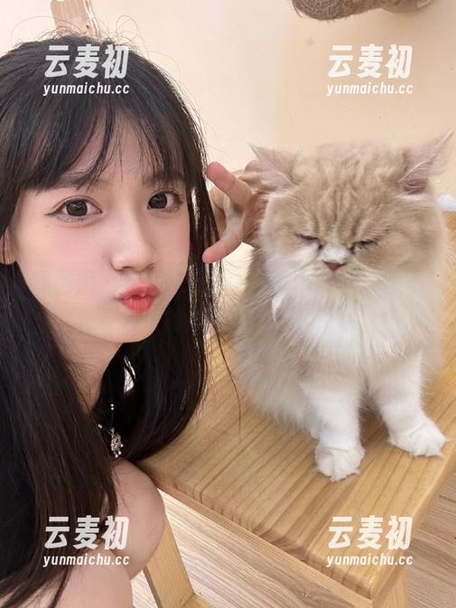 嗲囡囡 - 绝美泳衣与M梦baby：一部不可错过的高清作品集！.txt
