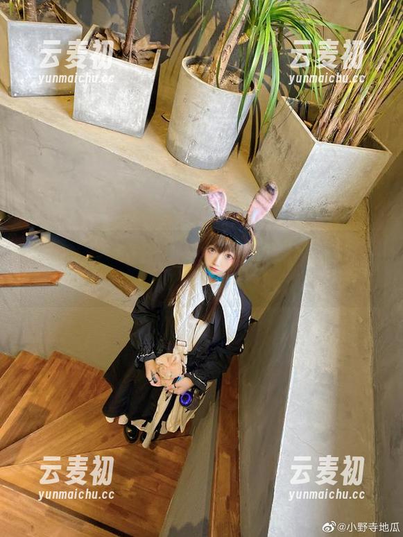 可爱又实惠！小野寺地瓜黑白写真图包免费获取，快来看看吧！.txt