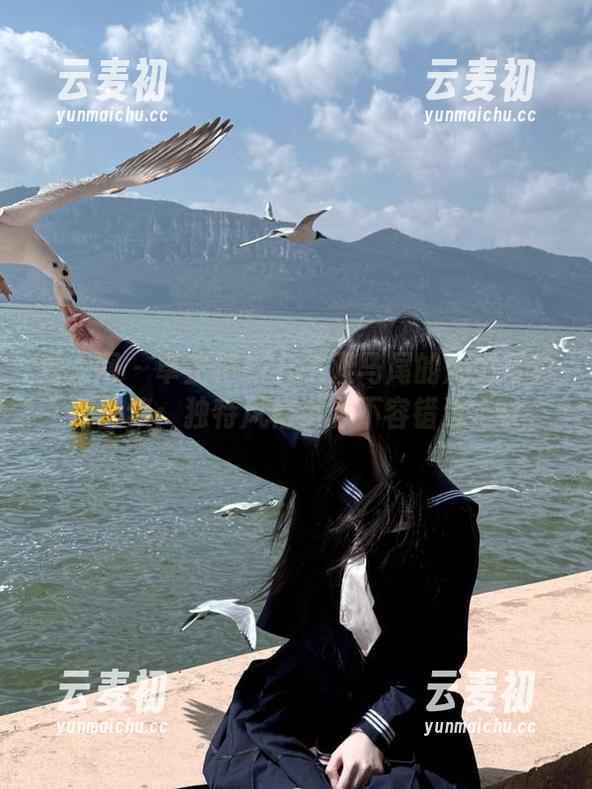秀人网 - 卓芷伊EricA双马尾的魅力写真作品集：独特风格资源不容错过.txt