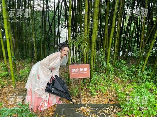 套图大揭秘：秋和柯基最新风格，快来感受午夜蓝的独特气息！.txt