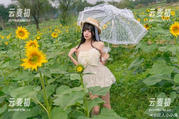 黏黏团子兔的无圣光图集，细致呈现捡到一只黄豆粉的朴素之美.txt